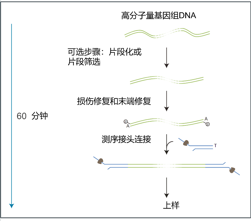 Chinese LSK114 Workflow