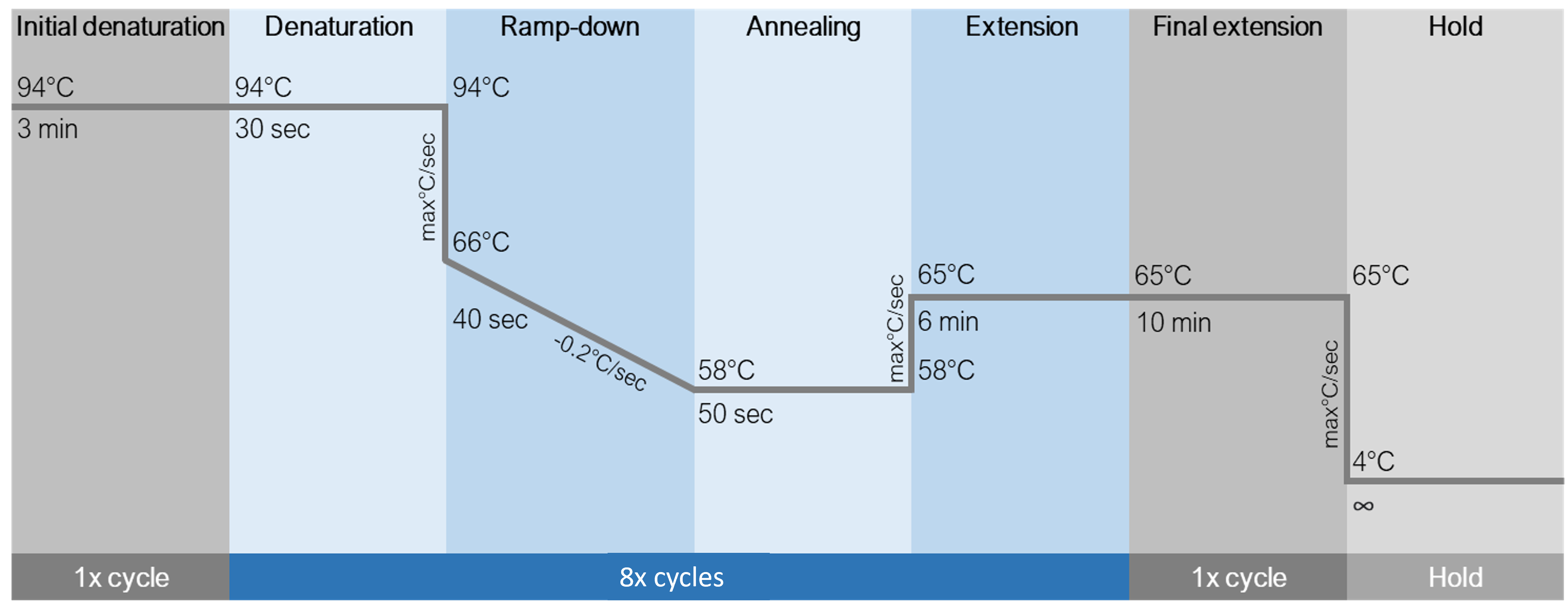 5- 10X PCR conditions edit