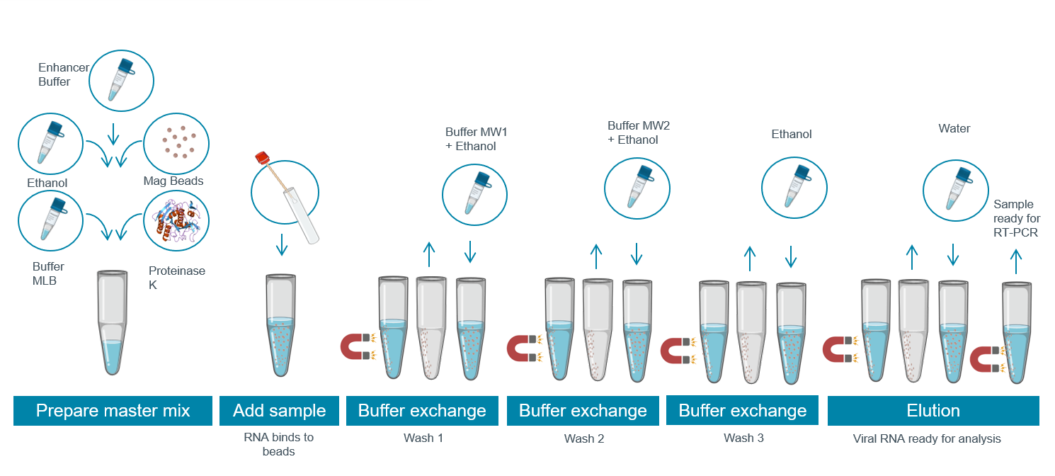 RNA extraction