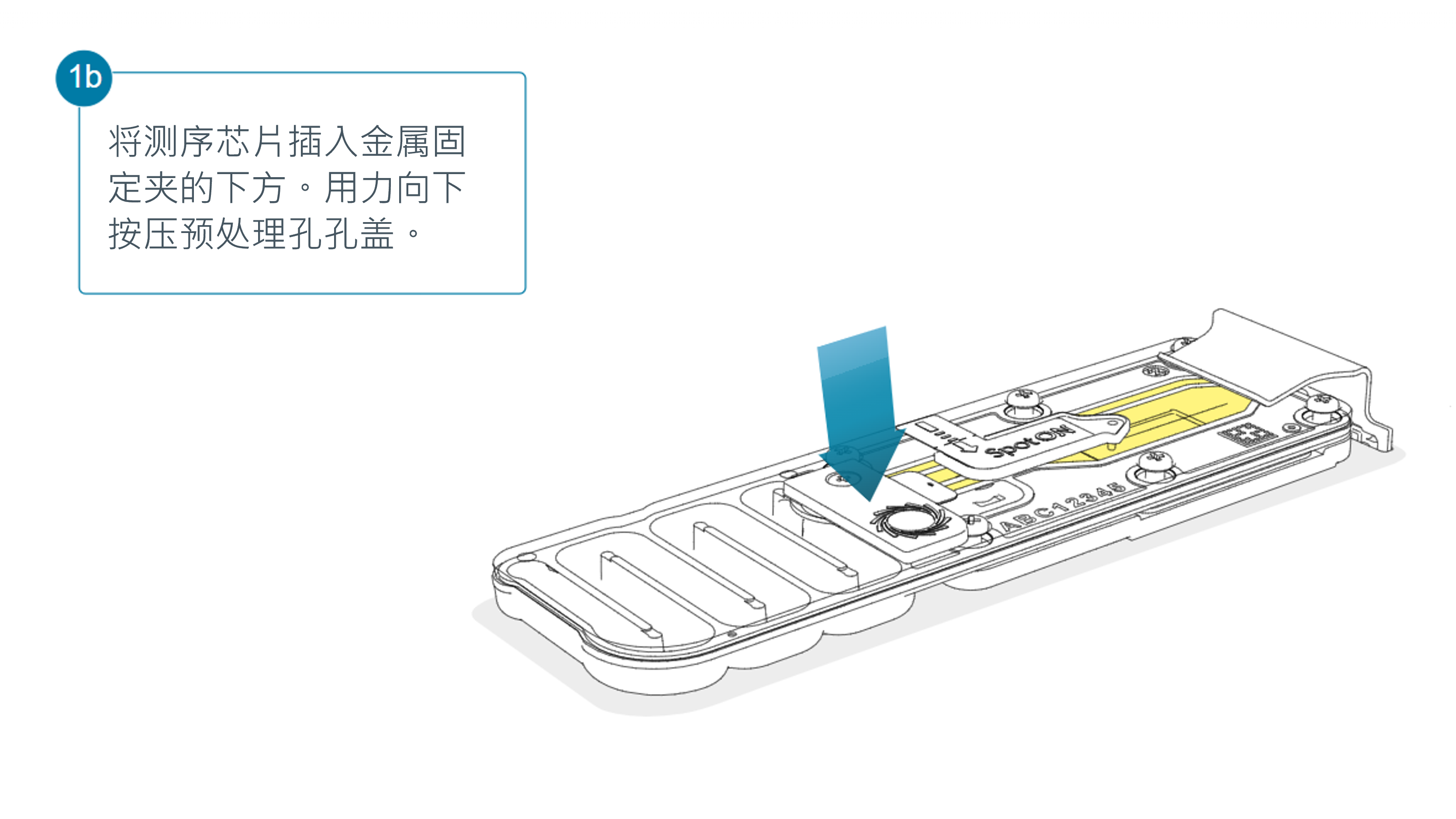 中文-测序芯片预处理上样1b-11Dec24