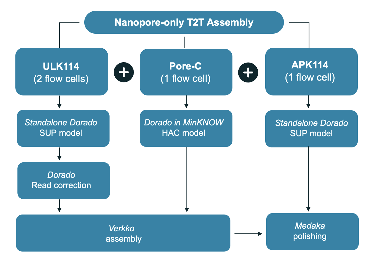 Workflow analysis t2t pic