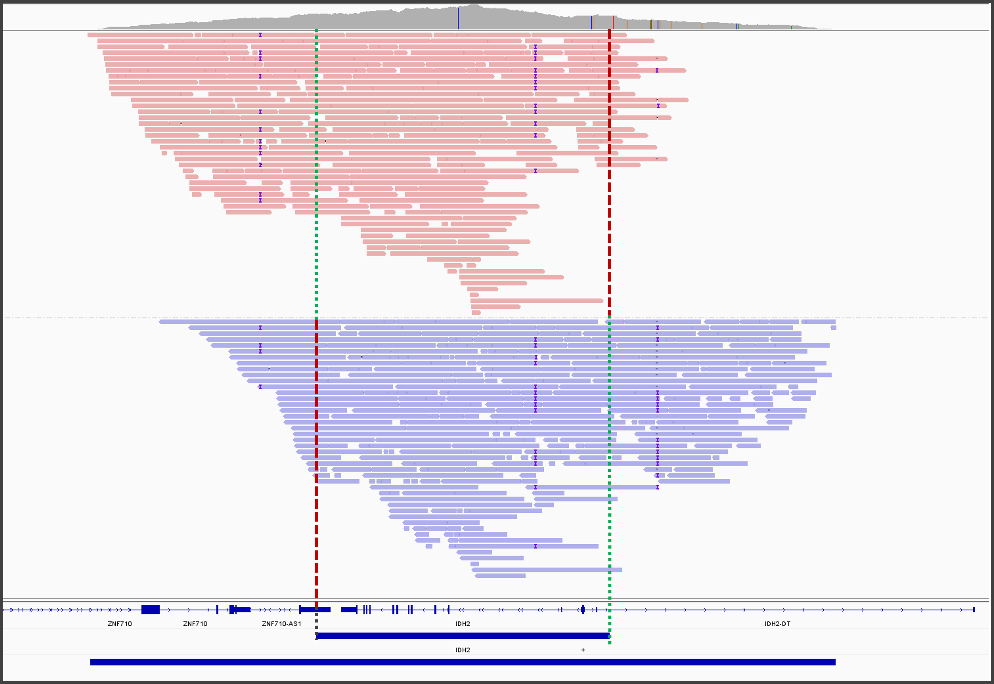 7 AG Strand IGV directional