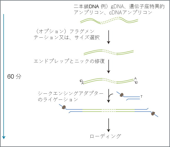 LSK114 workflow_JP