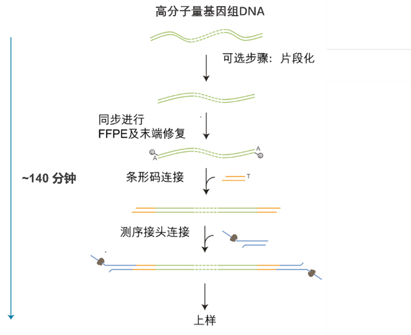 NBD114.24 workflow 中文