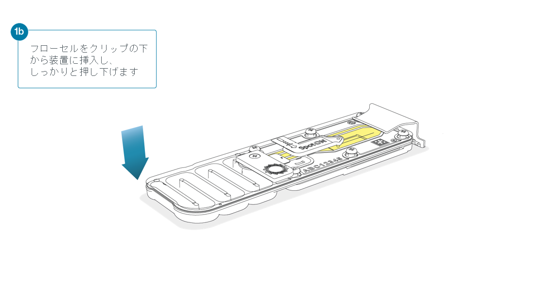 Flow Cell Loading Diagrams Step 1b_JP