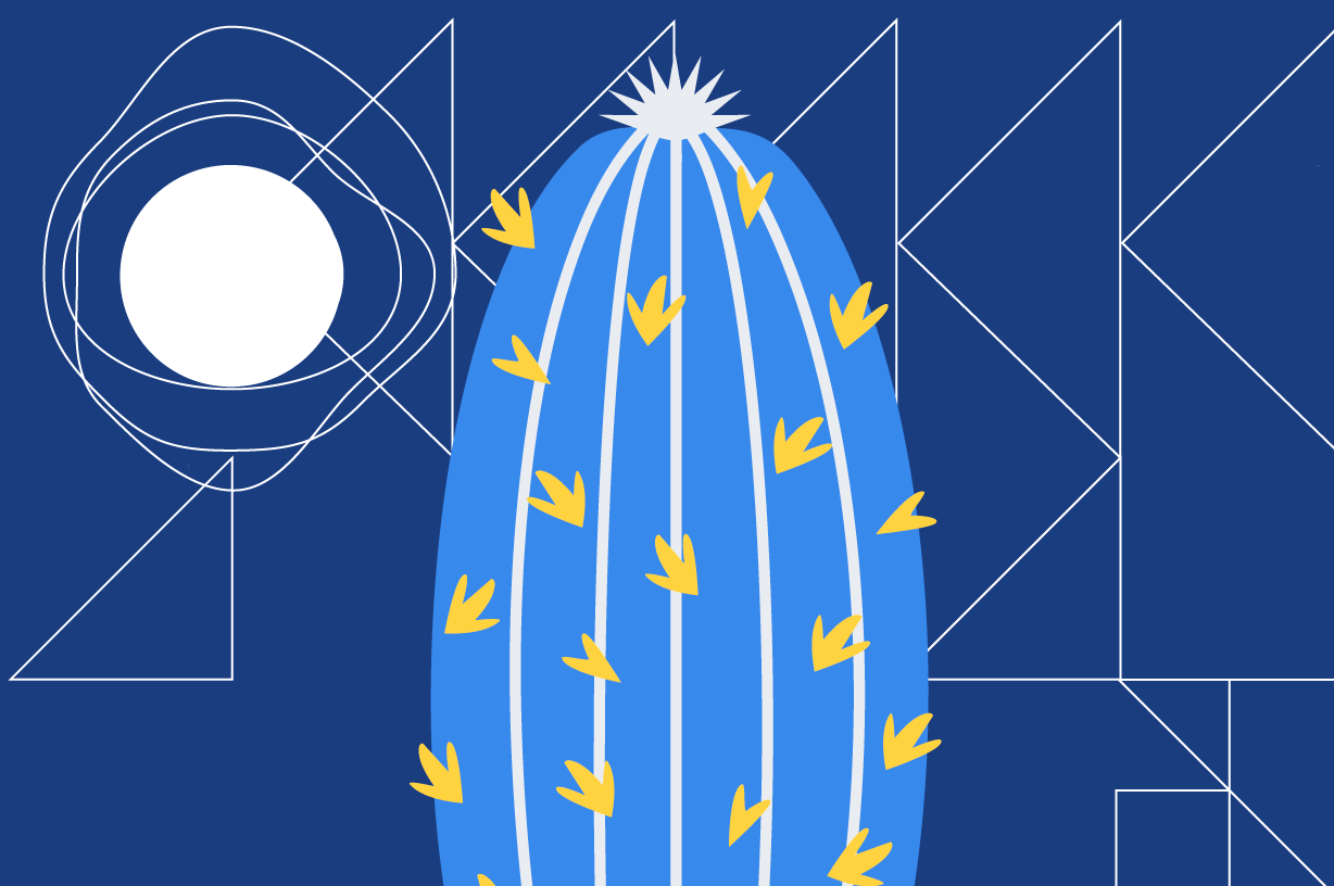 illustrated prickly cactus with the moon shining from behind it