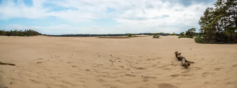 Villages de vacances dans la province BrabantSeptentrional. EuroParcs