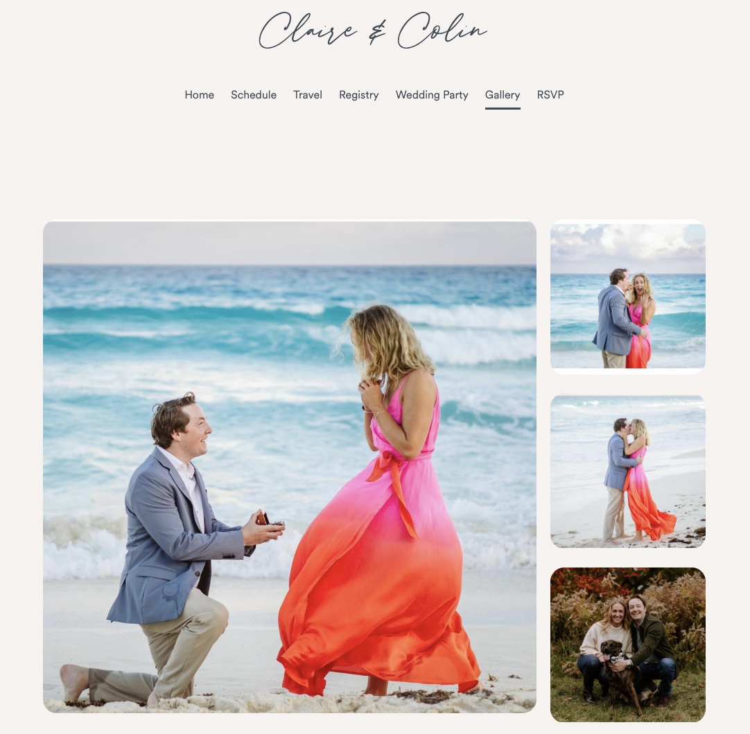 Engagement Session on Wedding Website