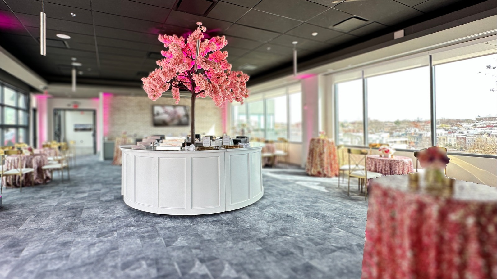 Wedding Venue - DC - Skyline 609