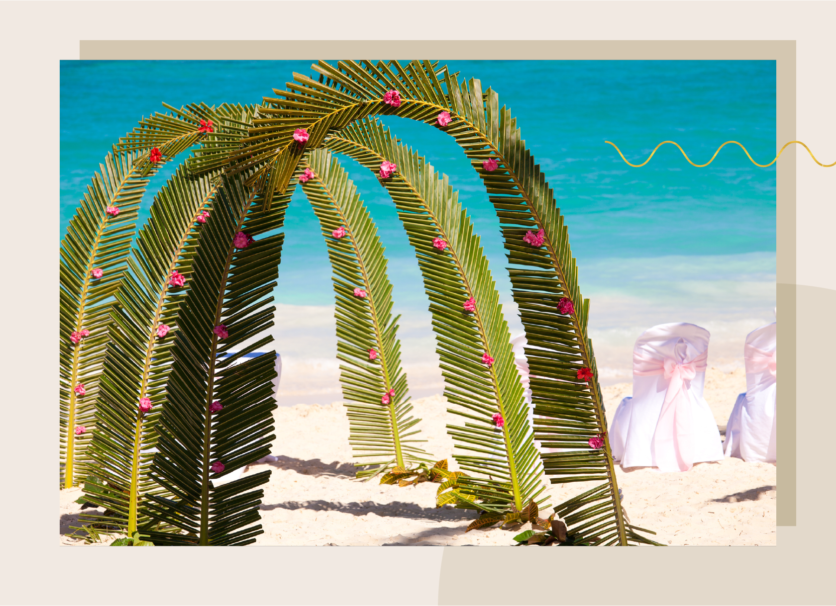 palm-leaves