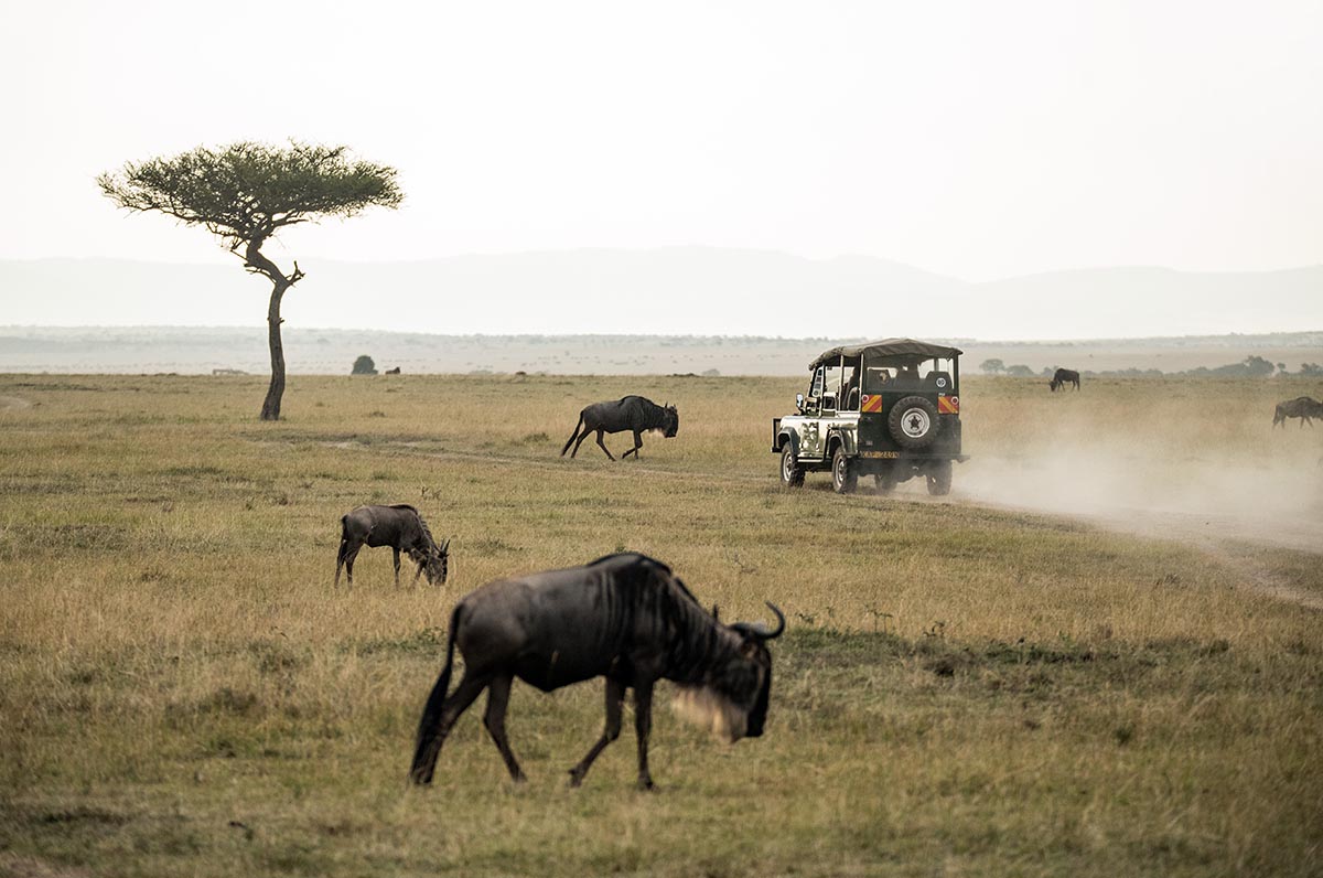 maasai-mara-kenya