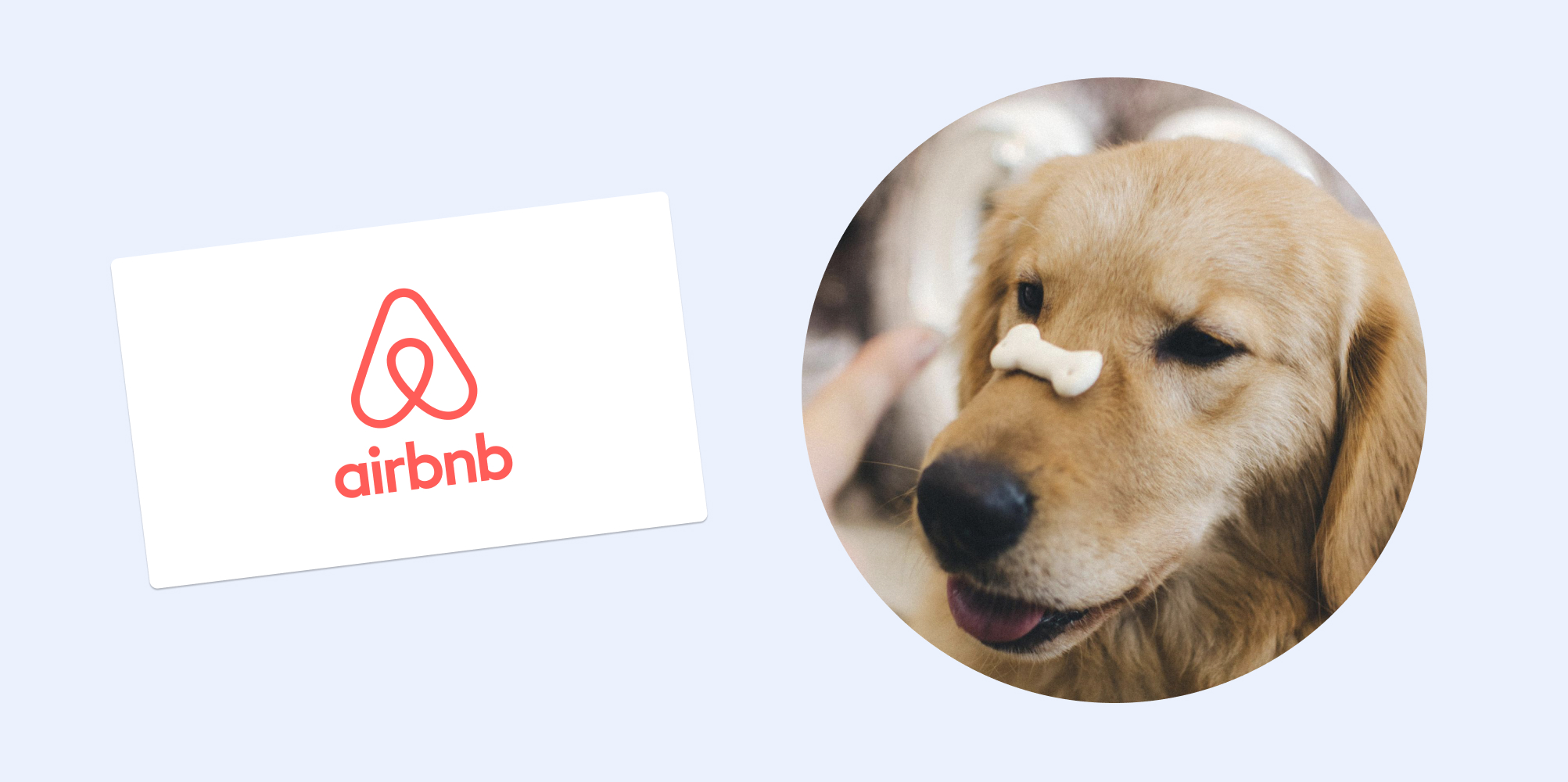 Airbnb Gift Card | Cash Fund: Year's Supply of Pet Treats
