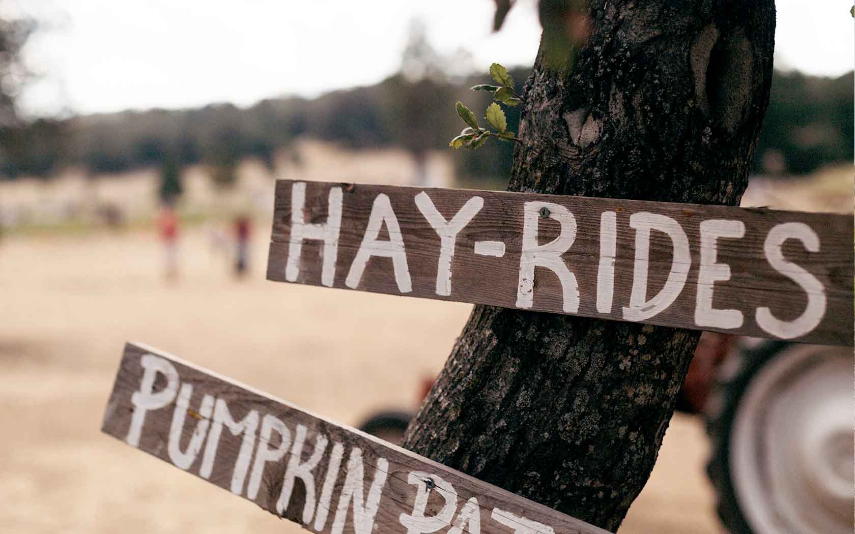 hay-ride