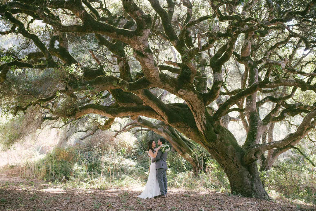 Enchanted Forest Wedding Theme