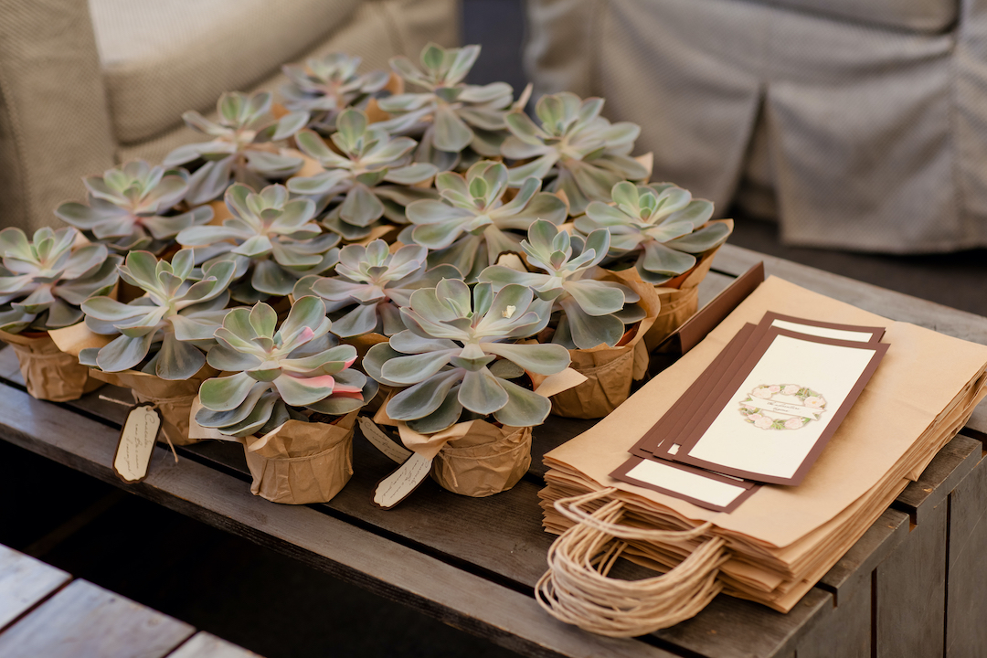 What are the best plant wedding favors?