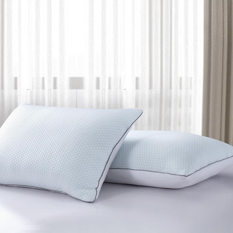 Serta Summer and Winter Goose Feather Bed Pillow