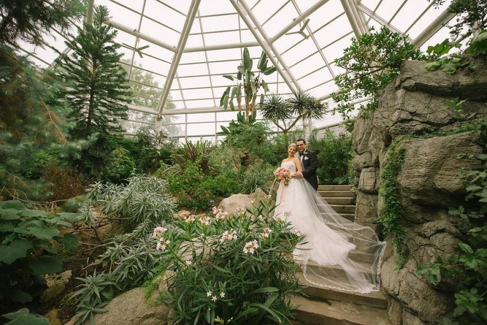 Brooklyn Botanic Garden: The Atrium