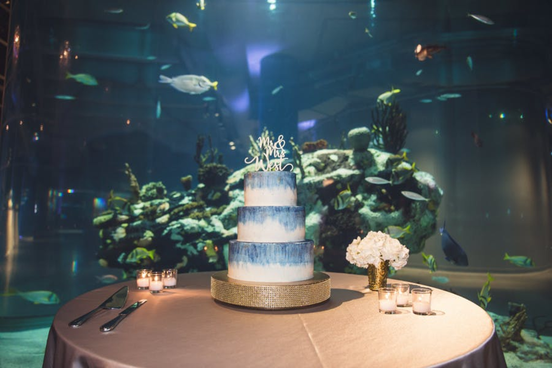 wedding under the sea