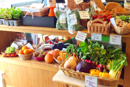 Illustration of groceries in Aberystwyth