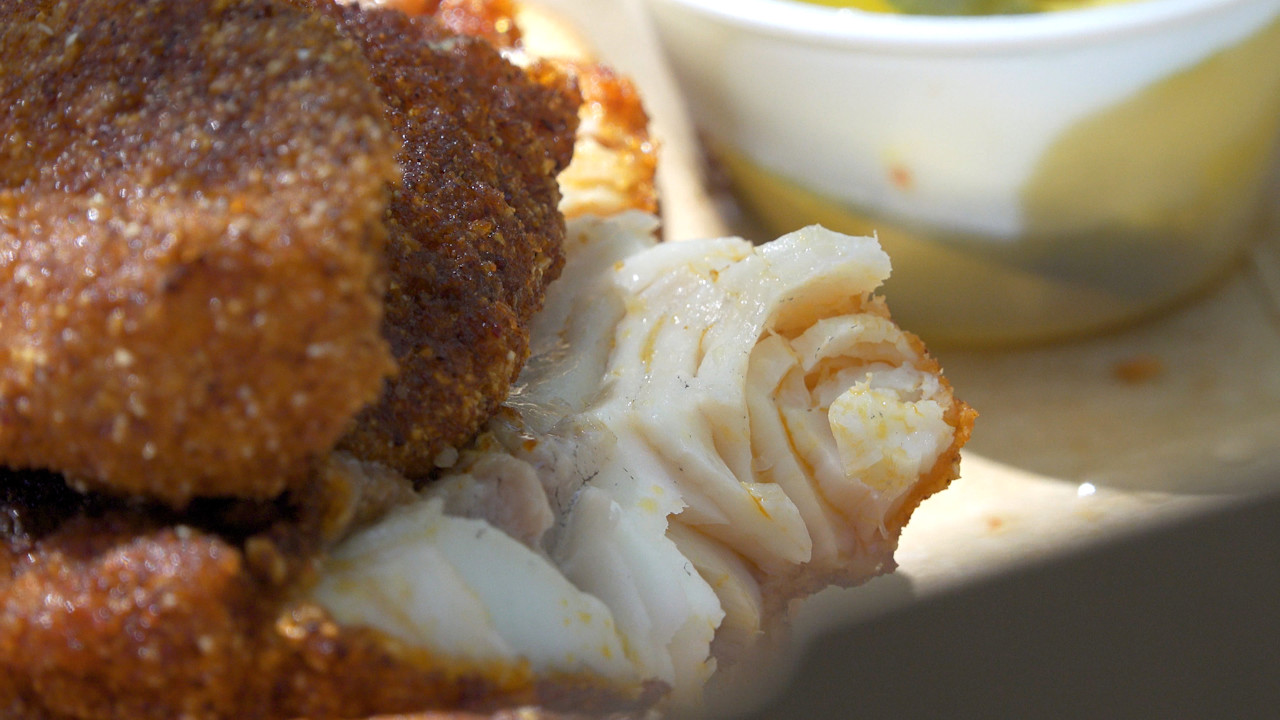 Catfish from King of Coop
