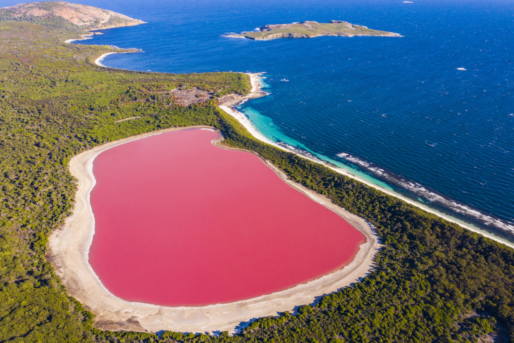 Pink Lake Hillier, Australia  