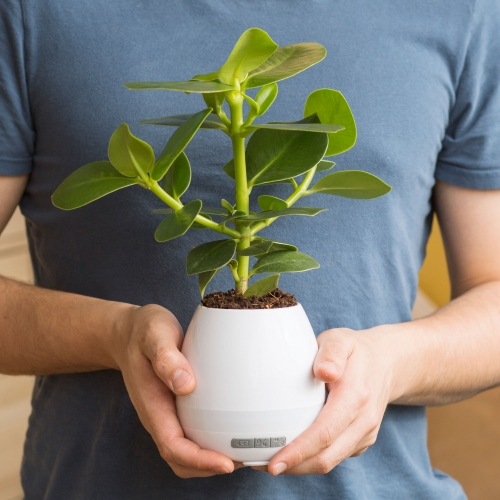 Thumbs Up UK Plant Pot Speaker