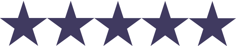 CAMP X BLUEY BOSTON visual data 4