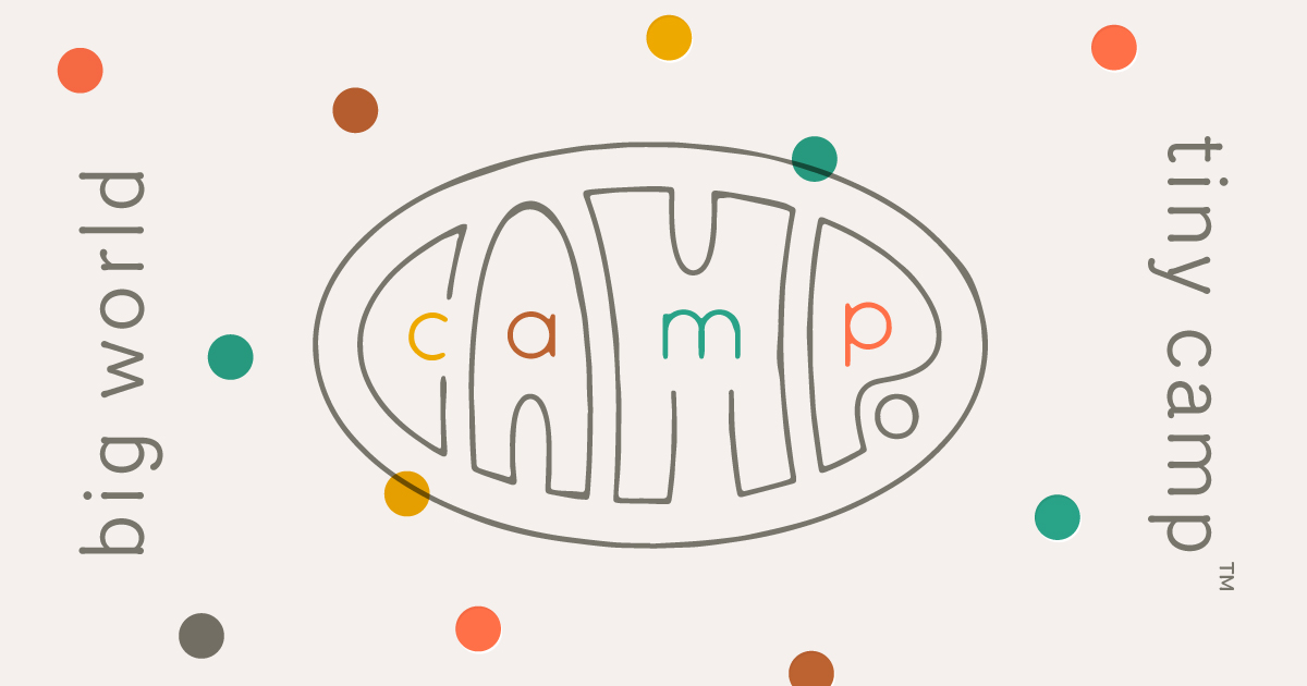 Shop Tiny CAMP