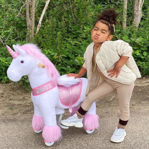 Pony Cycle Pink Unicorn 