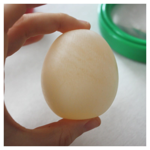 Naked-Egg-How-To-make-Rubber-Egg-