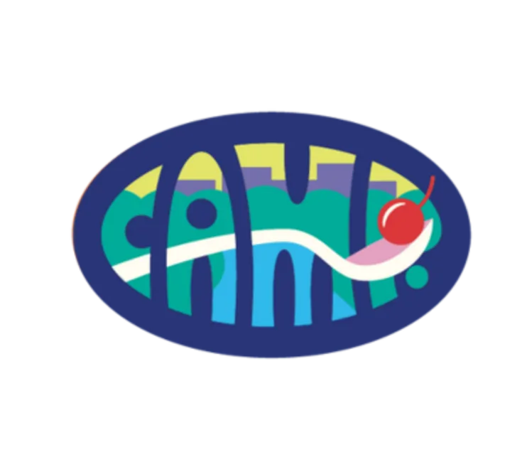 CAMP Minneapolis logo
