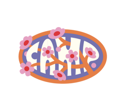 Washington D.C. Logo