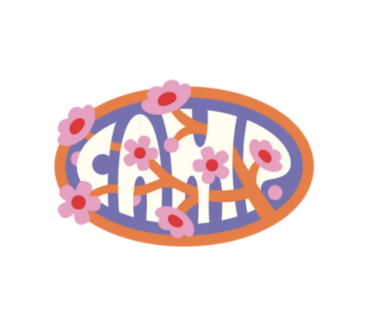 CAMP Washington D.C. logo