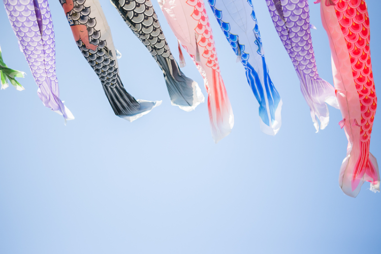 Japanese Fish Kites