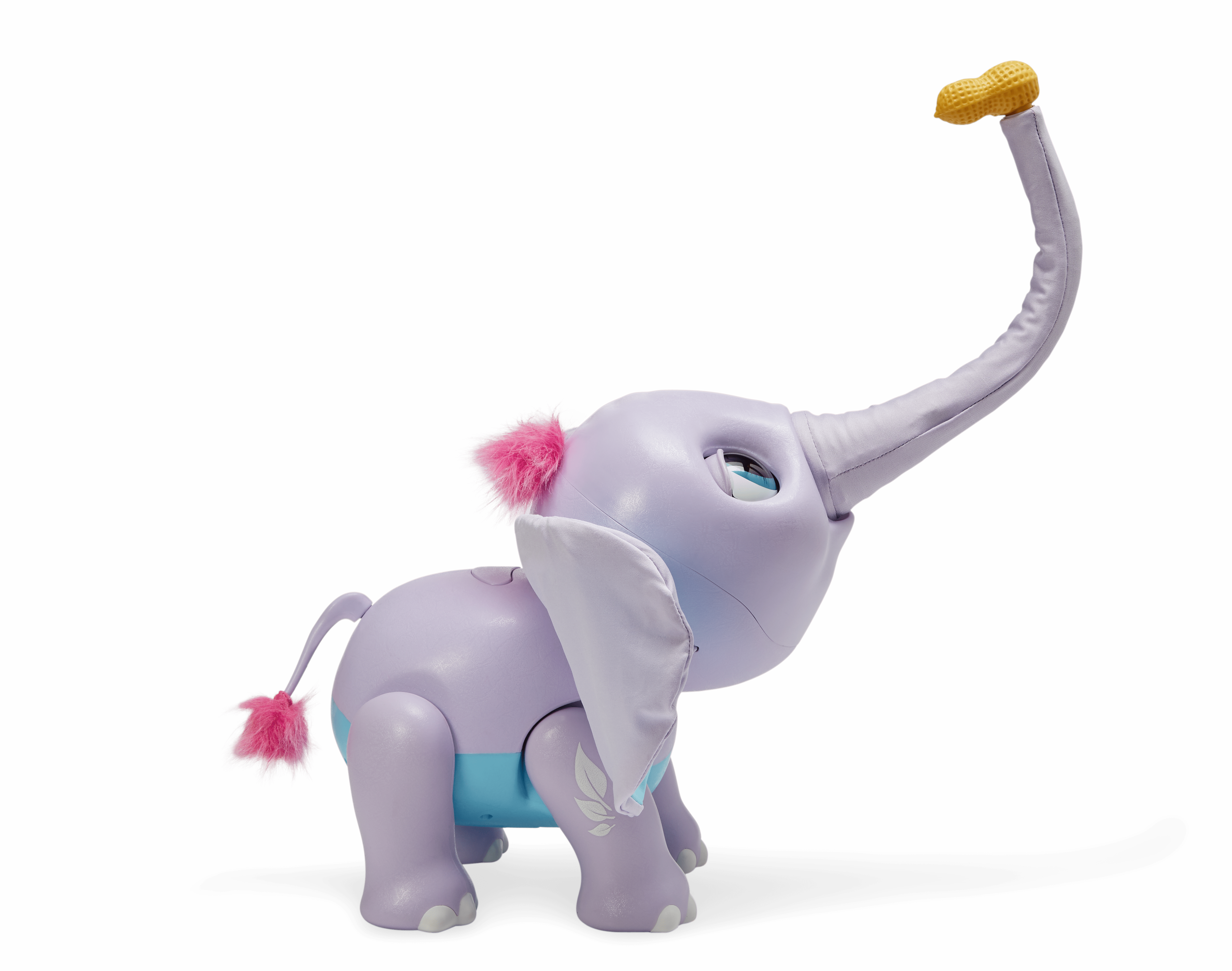 juno elephant