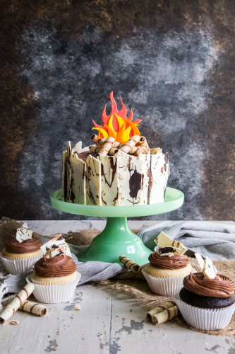 Campfire-Cake-With-Birch-Bark-and-Firewood