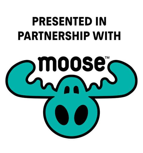 CAMP X BLUEY CHICAGO visual data 2