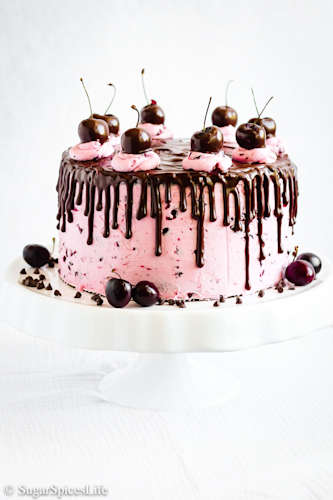 Best January Birthday Cake Ideas For Kids Camp Best January Birthday Cake Ideas For Kids Camp
