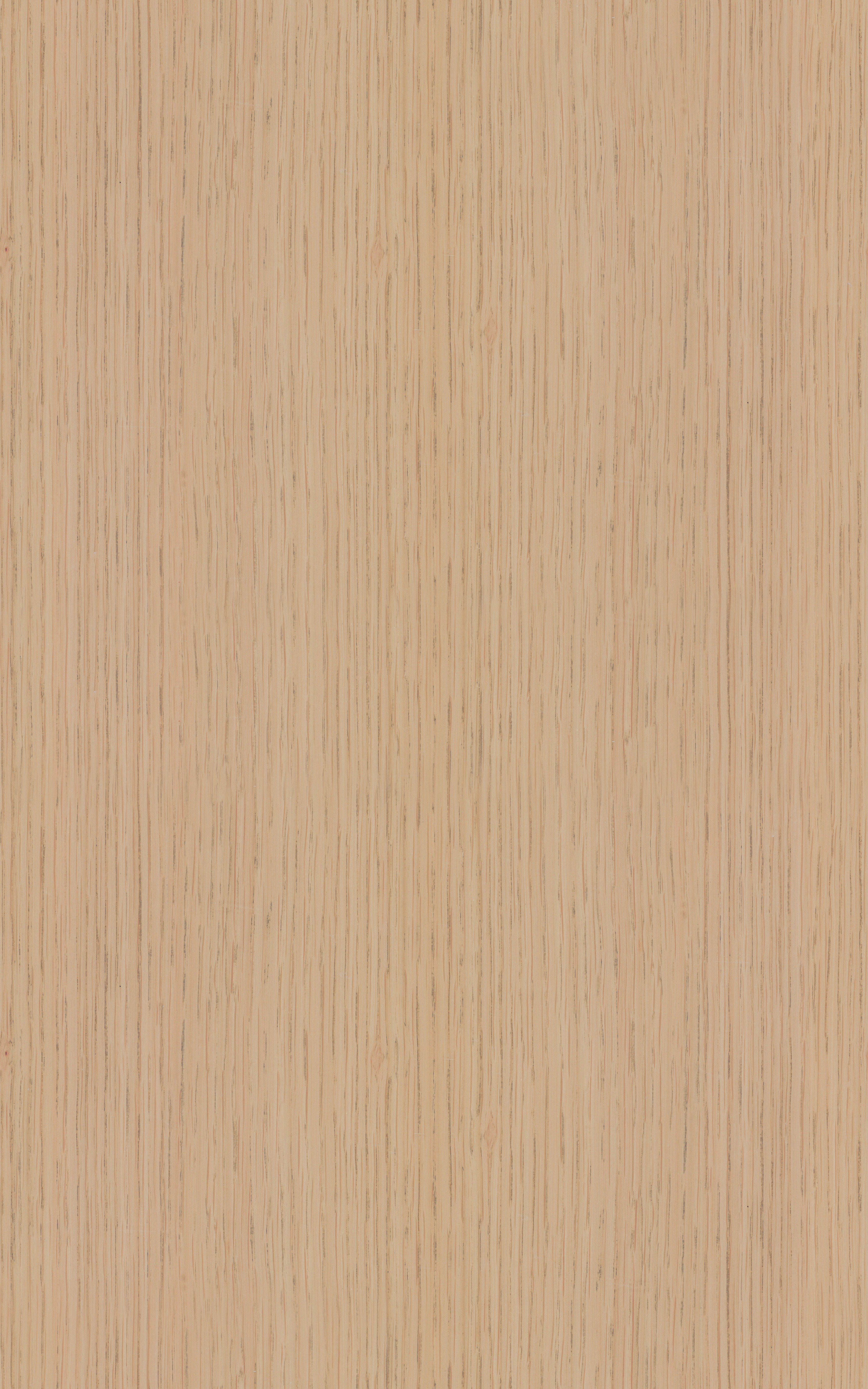 Stain