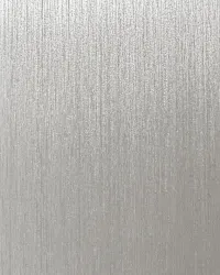 Brushed Stainless