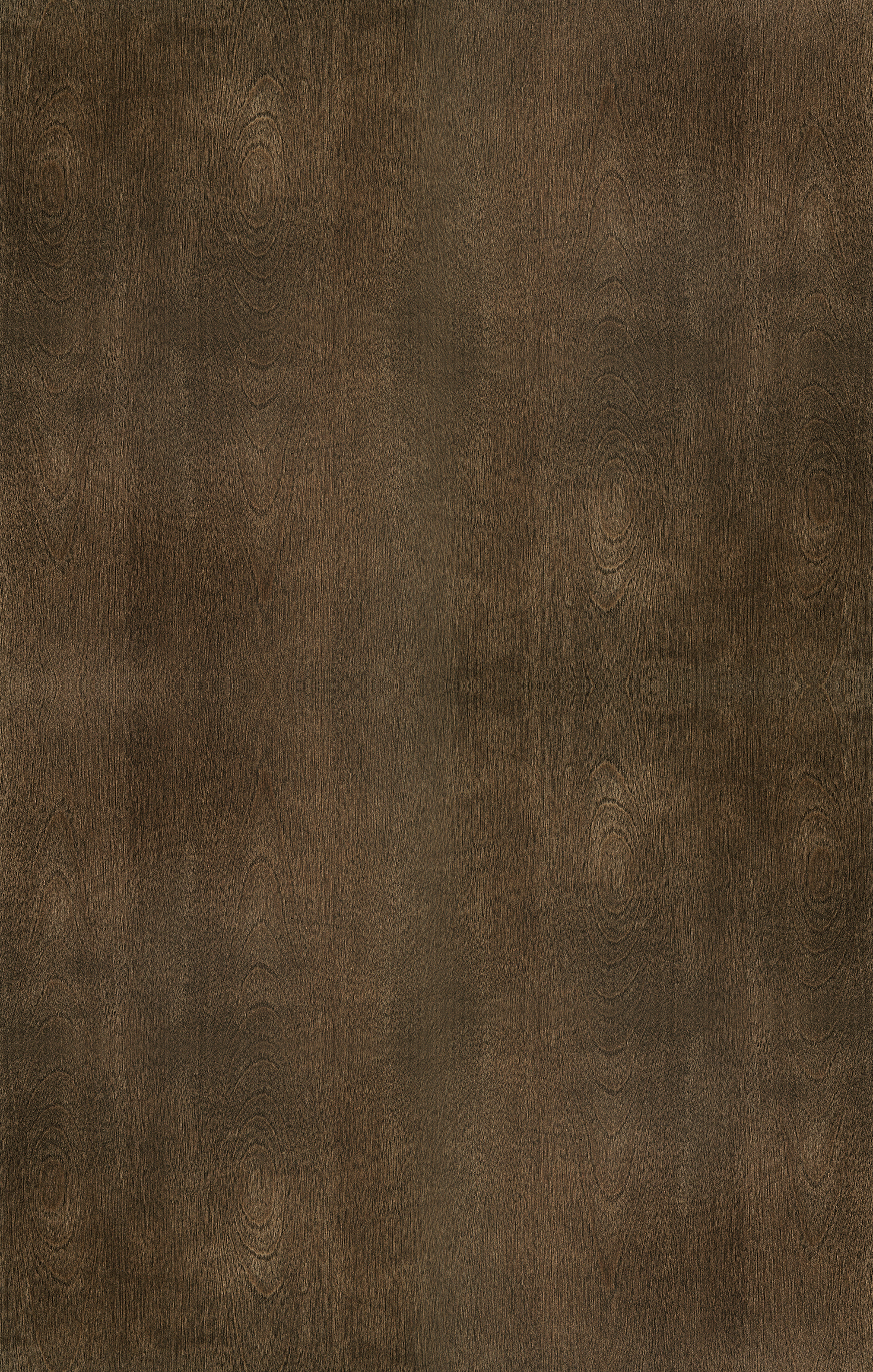 Stain