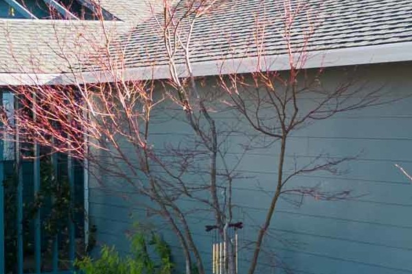 Sonoma home featuring James Hardie Boothbay Blue siding and Simonton DaylightMax Windows, showcasing a modern exterior