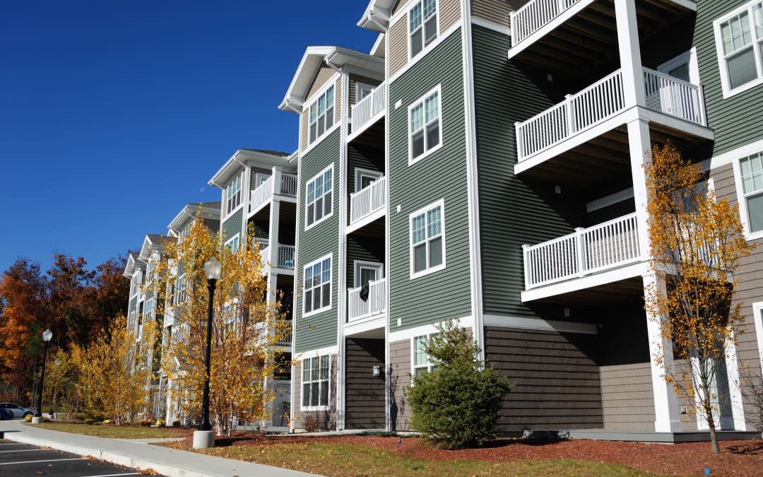 Stunning Green Building Materials For Apartment Window Replacement image