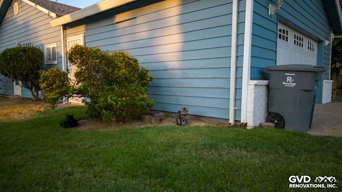 New Alside Prodigy vinyl siding in blue, enhancing a Yuba City home exterior, with green lawn and shrubs