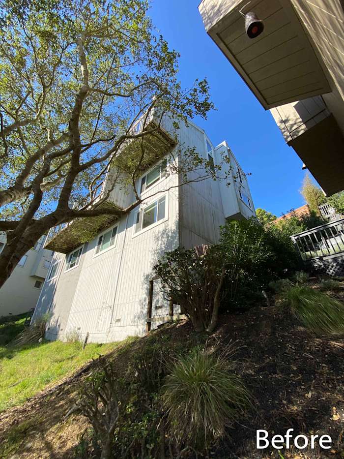 Before image of a home exterior in Mill Valley, featuring old siding and overgrown landscaping