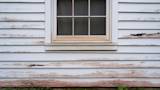 Mold on Siding: Causes, Solutions, and Prevention