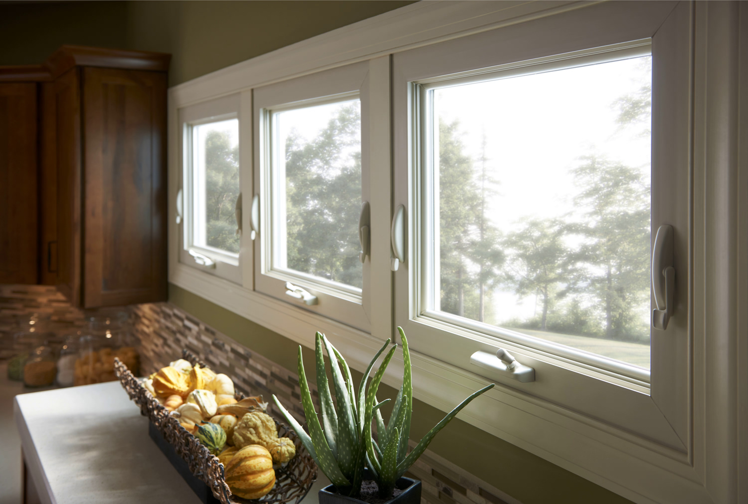 Awning Windows