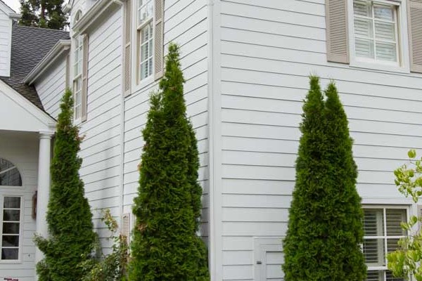 New Arctic White HardiePlank siding and trim on a remodeled home exterior, surrounded by lush landscaping in Orinda, CA