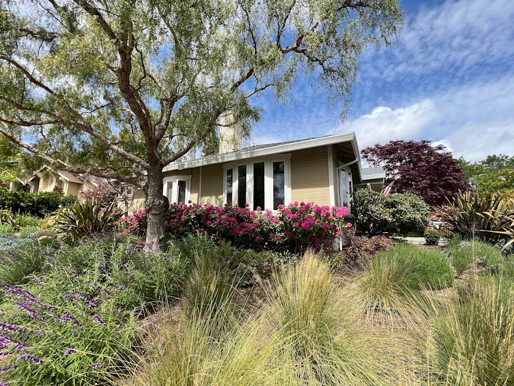 Lush garden with vibrant flowers and native plants in woodrose, Sacramento's serene landscaping