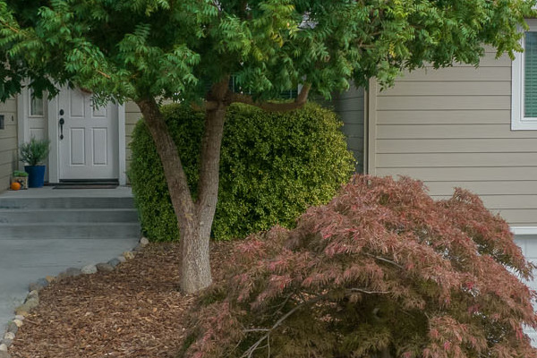 Home exterior featuring James Hardie Monterey Taupe siding, Arctic White trim, and Anlin Catalina Windows in Petaluma